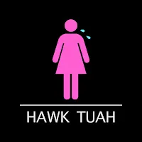 Anth — Hawk Tuah Ft Conor Maynard & Corey Nyell — обложка